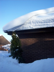 Roof of my parent's house...